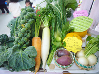 里山の元気野菜